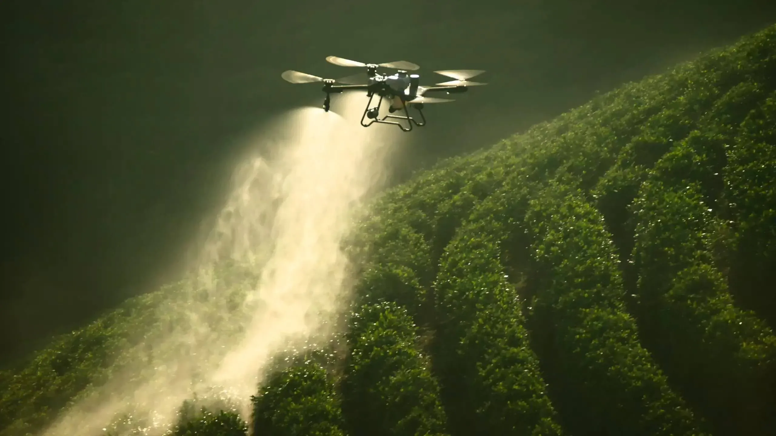 DJI Agras T25, vista principal
