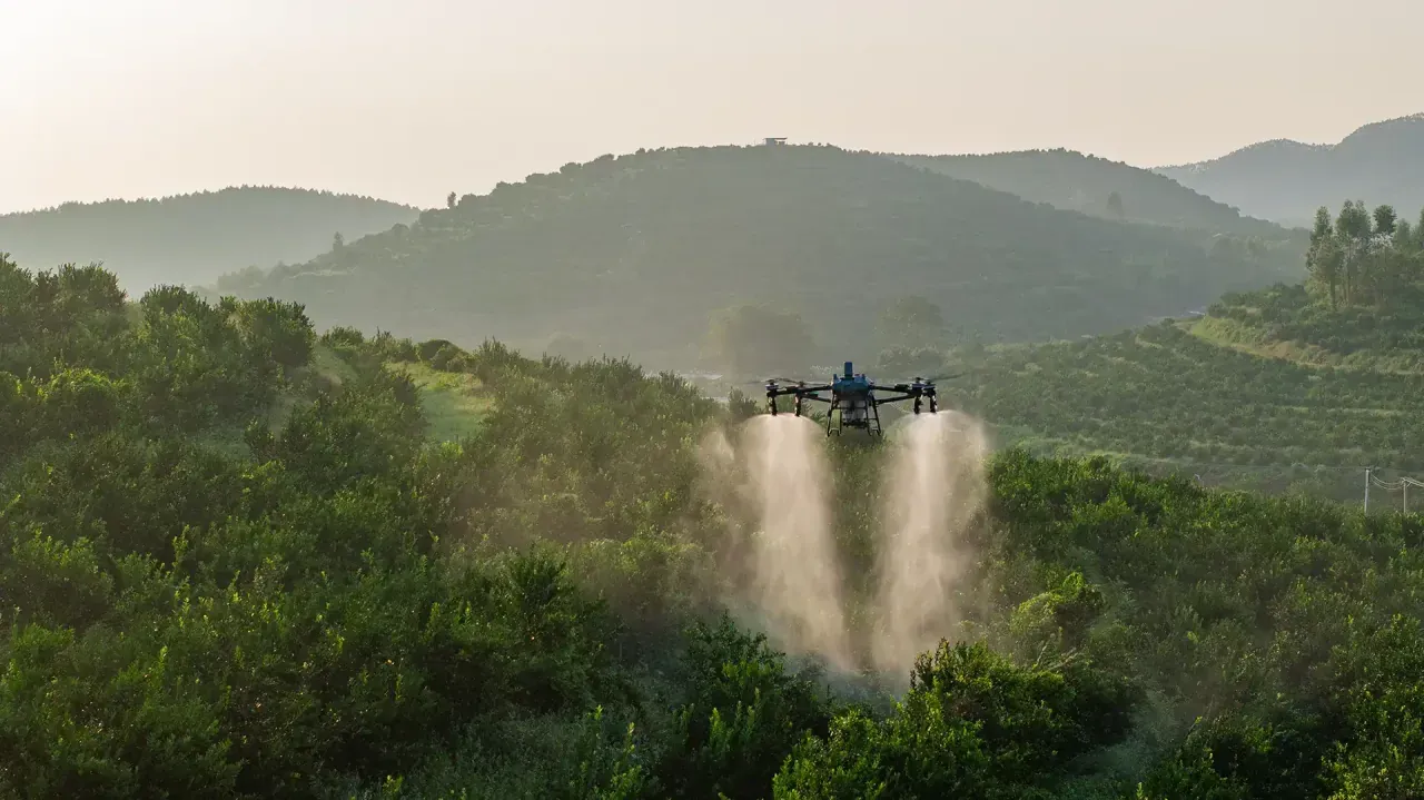DJI Agras em operação agrícola no campo