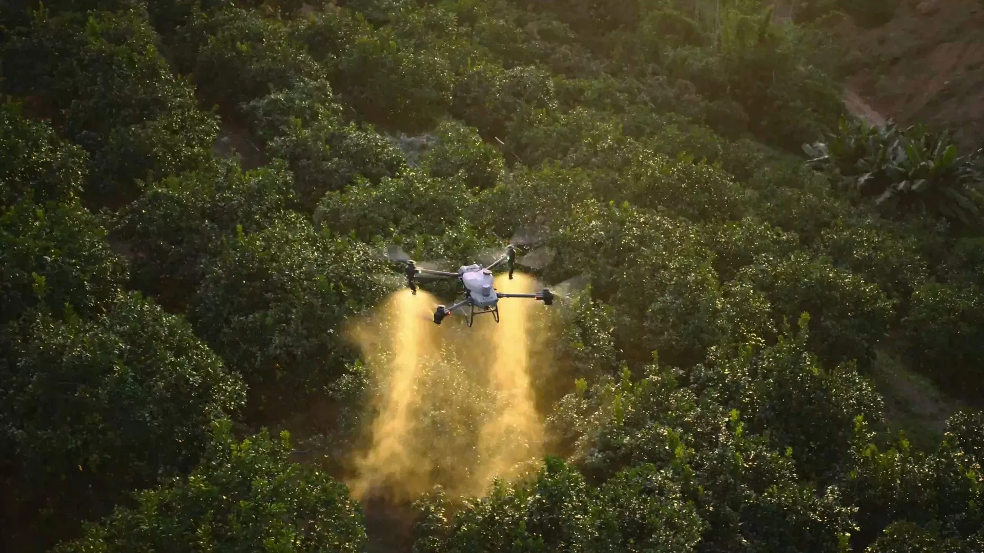 DJI Agras T50, vista principal
