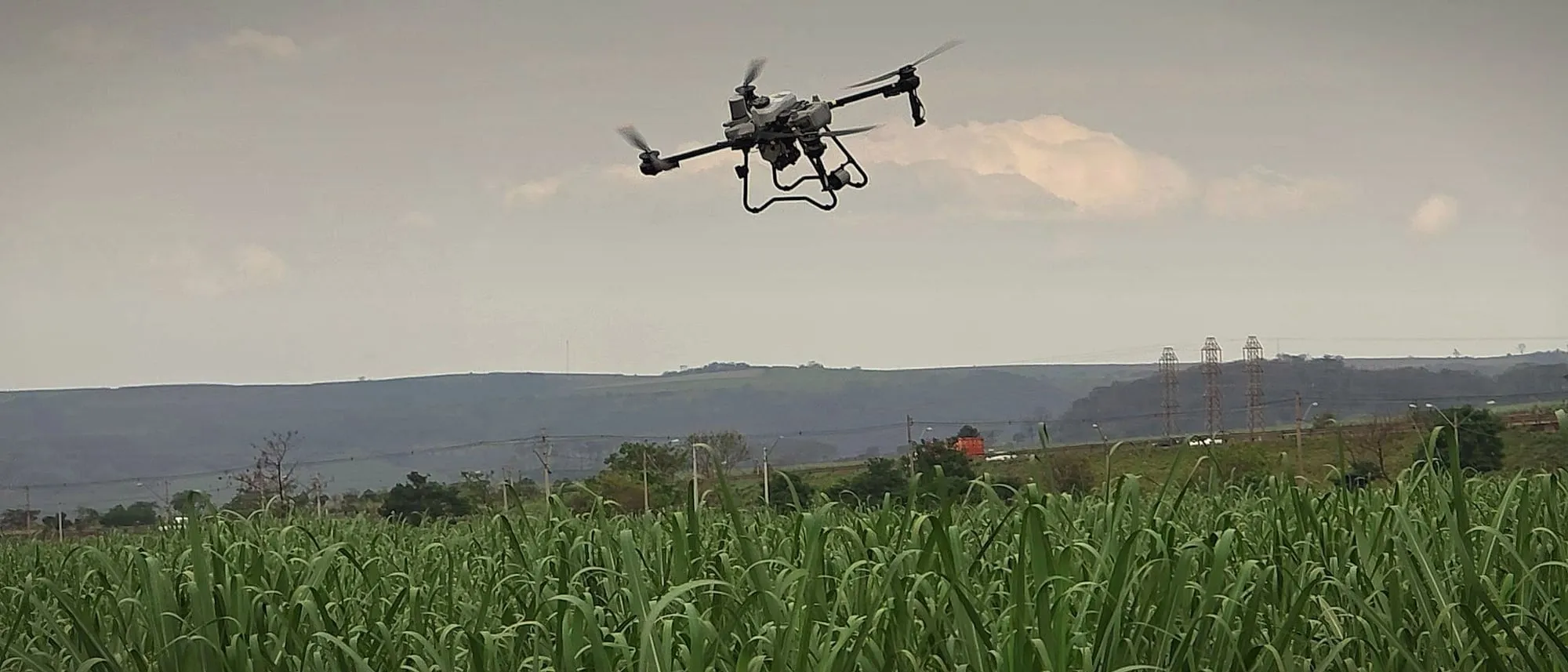 Drone DJI Agras em voo inclinado sobre um canavial, com serras ao fundo e céu nublado