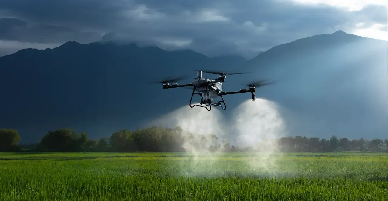 DJI Agras T70P pulverizando uma lavoura, com montanhas ao fundo