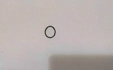 Anel de vedação (ID = 16,5 mm)